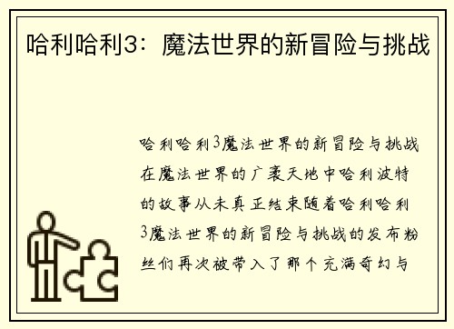 哈利哈利3：魔法世界的新冒险与挑战